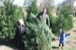 resIMG_20121124_3817.JPG